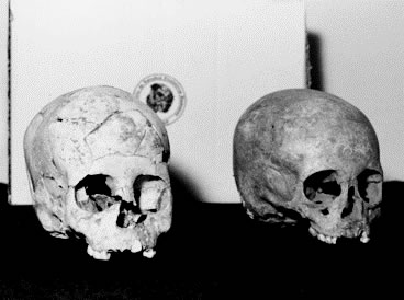 Fósseis de Lagoa Santa (MG) com idade entre sete e onze mil anos: uma nova hipótese sobre a ocupação da América